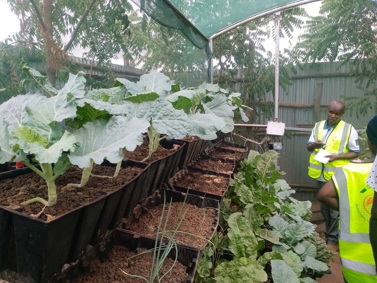 Hydroponics training